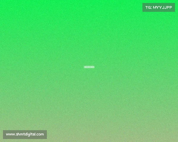 南美有哪些杯赛