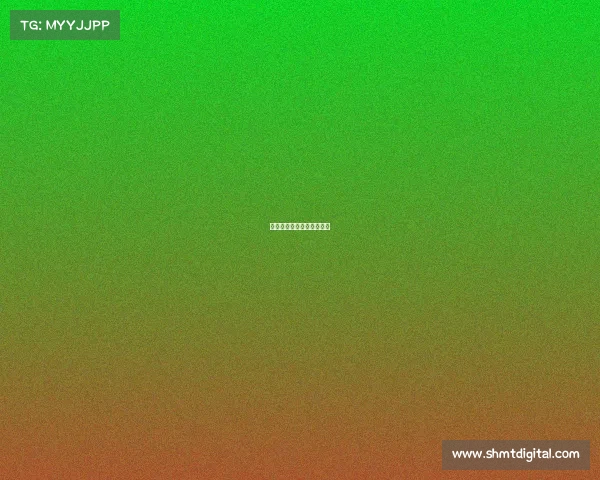 国王赛事、国王杯赛制规则